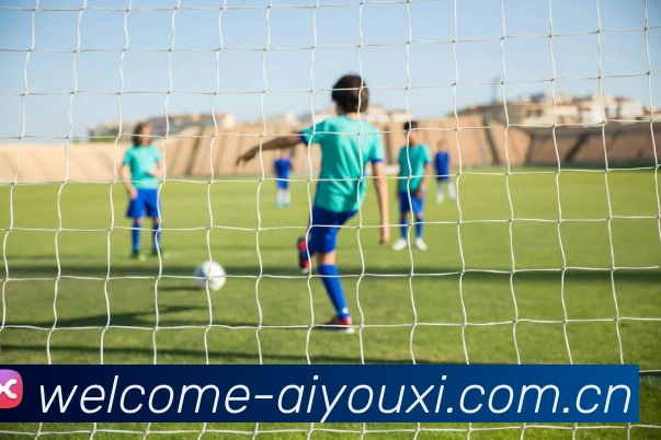 爱游戏体育品牌故事