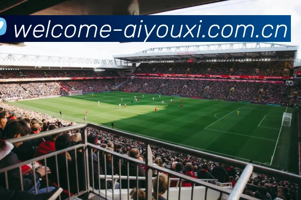 爱游戏体育服务体系